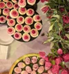 CATERING_COCCODI-09